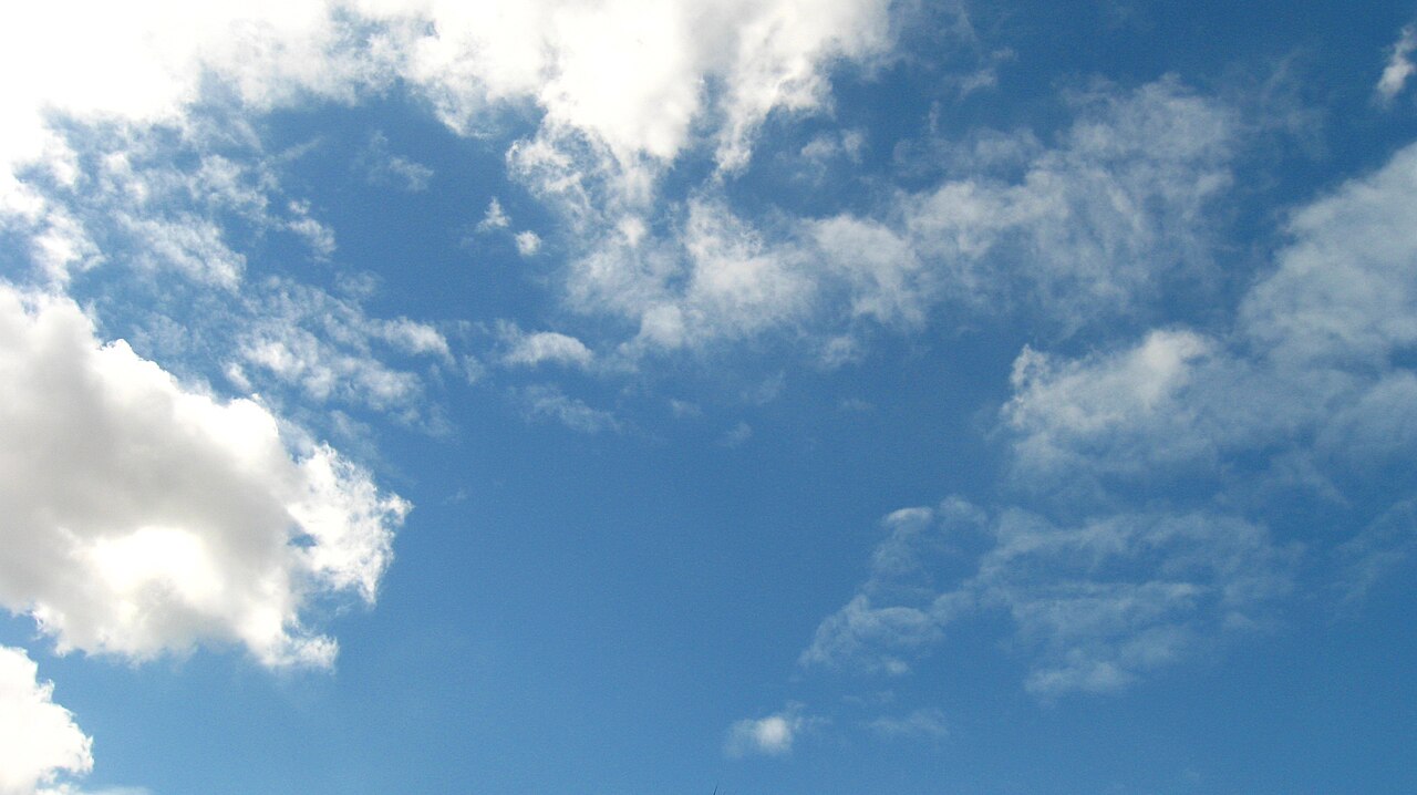 那一天，飛了——
