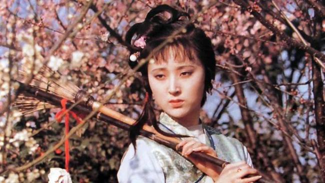 讀黛玉葬花有感木蘭吟