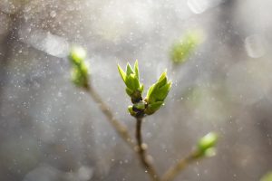 編後語：在一首無言的詩中凝結永恆