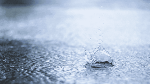 雨