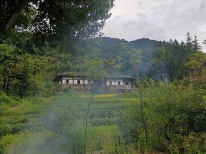 古厝、選擇父母