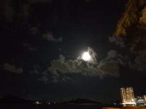 月夜懷人、秋曉、璞社情