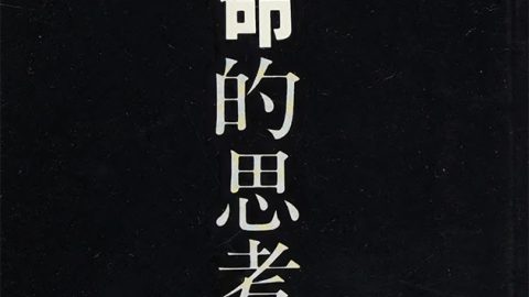 香港的蘇格拉底——悼李天命博士