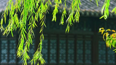 北京春聚二絕句及〈鷓鴣天〉
