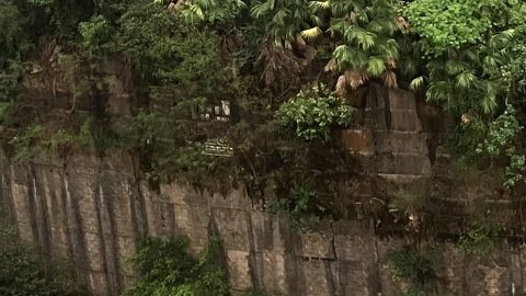 詩，在雨中