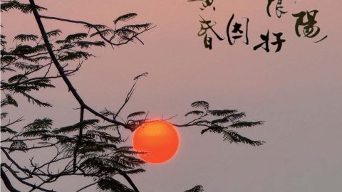 〔青霞園地〕夕陽無限好  只因近黃昏