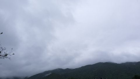 浮游翰海
