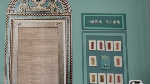祖父的浪漫、被人誤解的通菜