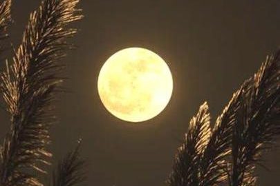 中秋夜徘徊