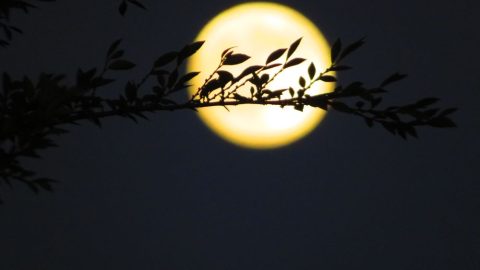 人生幾度中秋月明